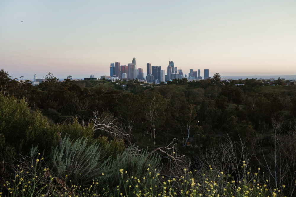 Darwin Property Surge: Smart Moves for High‑Yield Investors